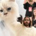 Met Gala 2023: Οι celebrities που εμπνεύστηκαν από την Choupette, την αγαπημένη γάτα του Karl Lagerfeld
